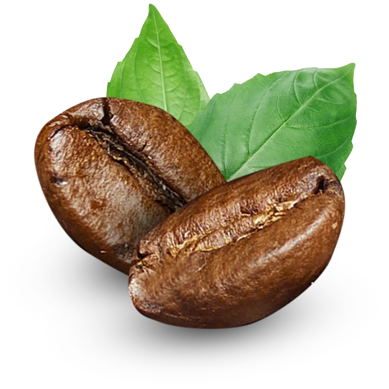 boabe-de-cafea-stilizata